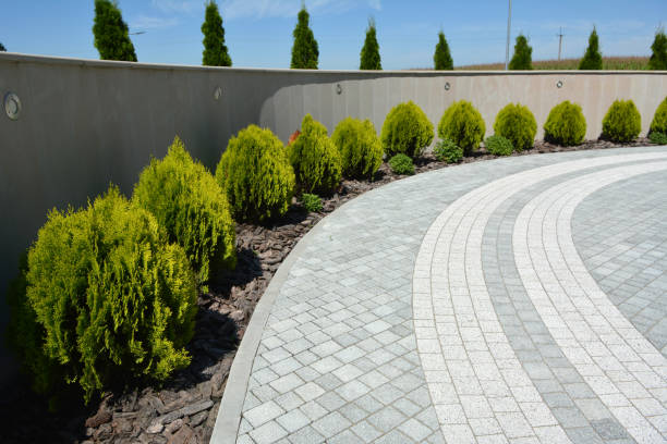 Best Custom Driveway Pavers  in Oswego, NY